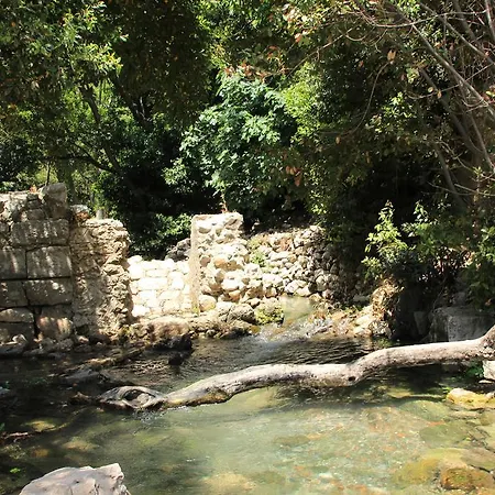 Maison d'hôtes Mitos Olympos