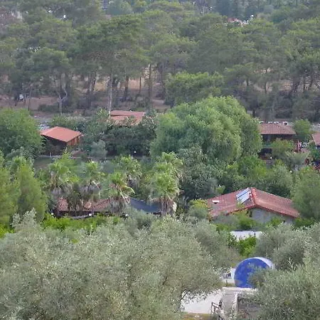 Mitos אולימפוס