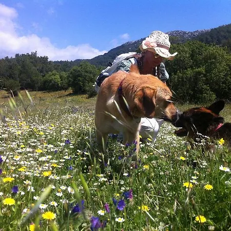 Mitos 3* Olympos