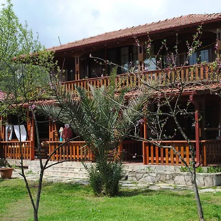 Guest house Mitos